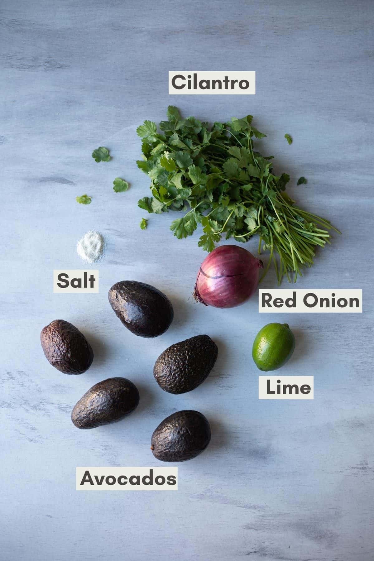 Top down shot of cilantro, salt, red onion, lime, and avocados to make the guacamole.